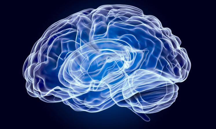 Peran Neurosains dalam Mengatasi Stres dan Gangguan Mental Sehari-Hari